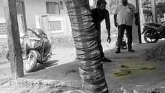 Ambedkar Konaseema : ముమ్మిడివరం మండలం సీహెచ్ గున్నేపల్లిలో తాచుపాము హల్ చల్ | DNN | ABP Desam