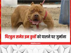 कानपुर में पिटबुल, रॉटविलर को पालने पर लगा प्रतिबंध, पकड़े जाने पर मालिक को देना होगा जुर्माना