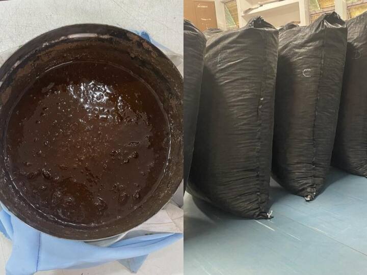 Chittorgarh Narcotics department action 4 kg opium and 207 kg doda recovered ann Chittorgarh News: नारकोटिक्स विभाग की चित्तौड़गढ़ में बड़ी कार्रवाई, भारी मात्रा में नशीले पदार्थ बरामद