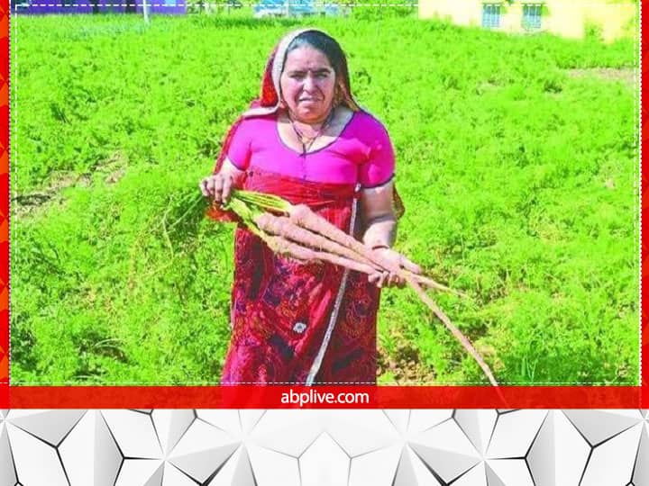 Successful Women farmer Santosh pachar train 7000 farmers after Growing Organic Carrot Success Story: घी-शहद से गाजर की जैविक खेती कर कमाये 20 लाख रुपये, अब इनसे खेती सीखने आते हैं हजारों किसान
