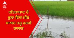 ਕਈ ਏਕੜ ਫਸਲ ਪਾਣੀ 'ਚ ਡੁੱਬਣ ਕਾਰਨ ਕਿਸਾਨ ਪਰੇਸ਼ਾਨ