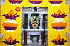 PHOTO : घटस्थापनेनिमित्त विठ्ठल आणि रुक्मिणी मातेच्या गाभाऱ्यात फुलांची आकर्षक आरास