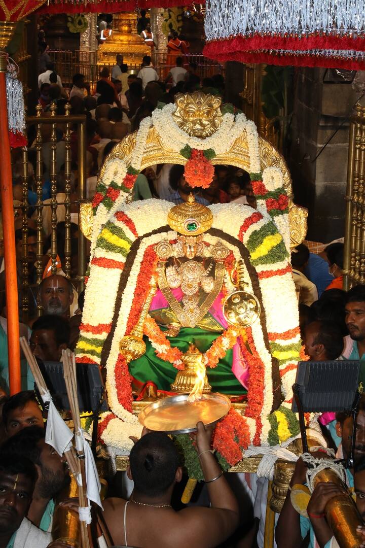 వైఖానస ఆగమంలో అంకురార్పణ ఘట్టానికి విశేష ప్రాధాన్యముంది. విత్తనాలు మొలకెత్తడాన్ని అంకురార్పణ అంటారు. ఉత్సవాలు విజయవంతం కావాలని సంకల్పించడంతో పాటు స్వామివారి ఆశీస్సులు పొందడమే ఈ ఘట్టం ఉద్దేశం.