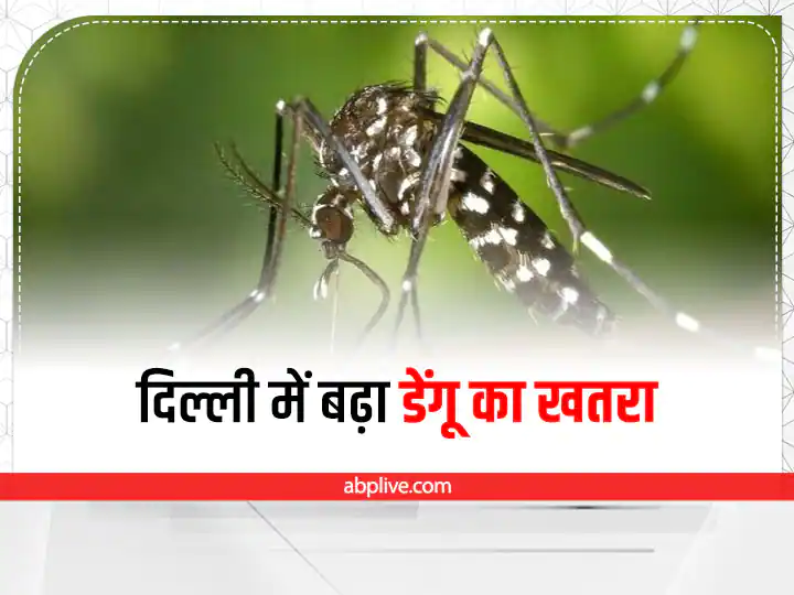 दिल्ली में डेंगू के 129 नये केस सामने आये, कुल पीड़ितों की संख्या 500 के पार