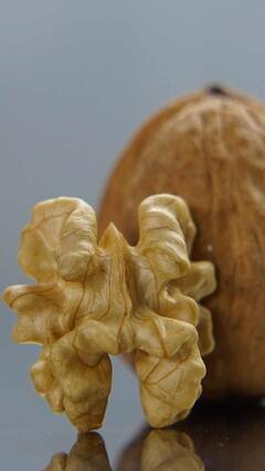 Walnut Benefits : सकाळी रिकाम्या पोटी फक्त 2 अक्रोड खा; तंदुरुस्त राहा