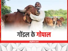 दुनियाभर में मशहूर हैं गोंडल के गोपाल, गाय आधारित जैविक खेती कर बनाते हैं ऑर्गेनिक फूड और डेयरी उत्पाद