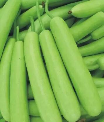 ਵਰਤ ਵਾਲੇ ਦਿਨ ਬੋਤਲ ਲੌਕੀ ਦੀ ਵਰਤੋਂ ਕਰੋ। ਇਸ ਨਾਲ ਐਸੀਡਿਟੀ ਬਿਲਕੁਲ ਨਹੀਂ ਹੁੰਦੀ। ਤੁਸੀਂ ਬੋਤਲ ਲੌਕੀ ਦੀ ਖੀਰ ਬਣਾ ਕੇ ਖਾ ਸਕਦੇ ਹੋ।