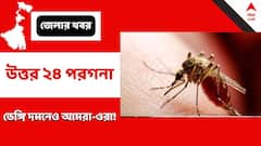 ডেঙ্গি দমনেও আমরা-ওরা? বনগাঁ স্টেশন চত্বর নিয়ে আতঙ্কে স্থানীয়রা