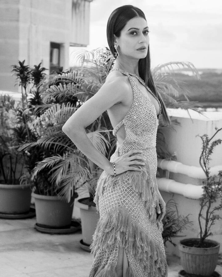 इस आउटफिट में पायल 'लड़की हूं लड़ सकती हूं' कैंपेन में शामिल हुई थीं. उन्हें यहां सम्मानित किया गया था. कुछ यूजर पायल को कांग्रेस के कैंपेन में शामिल होने पर ट्रोल भी कर रहे हैं क्योंकि वह खुले तौर पर बीजेपी की समर्थक रही हैं.