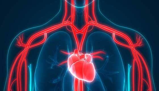 Covid कैसे Heart पर असर करता है? Doctor से समझिए