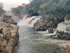 தருமபுரி: காவிரி ஆற்றின் நீர்பிடிப்பு பகுதிகளில் நீர்வரத்து அதிகரிப்பு