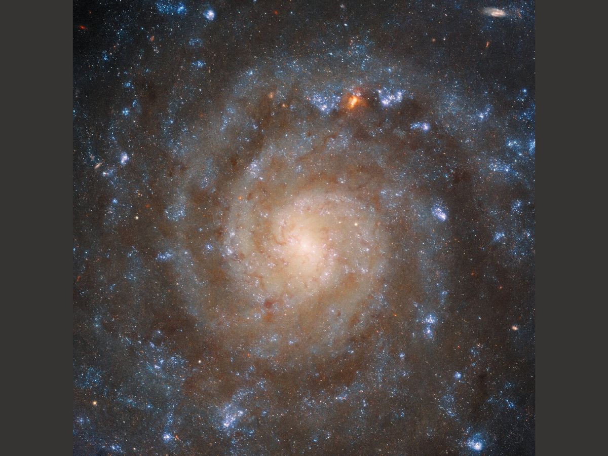 Hubble's Wide Field Camera 3 (WFC3) had captured the spiral galaxy in ultraviolet and visible light. Photo: ESA