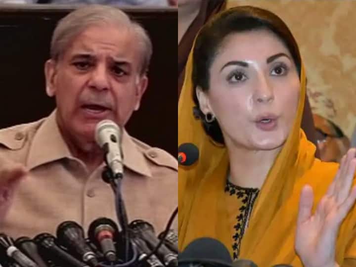 Pakistan PM Shahbaz Sharif Said In Audio Viral Leaked Case We Will Investigate And Know What Is India Connection |  Pakistan: Shahbaz Sharif will form a committee to investigate the audio leak, said