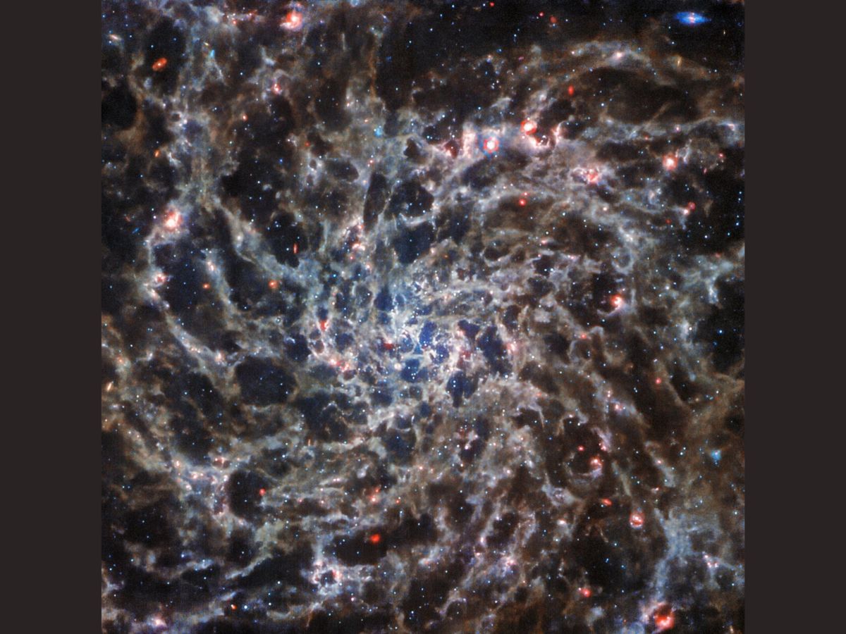 Webb was able to peer through the dust in the spiral galaxy IC 5332 in mid-infrared light, and see patterns of gas that echo the spiral arms' shape. Photo: ESA Webb/NASA