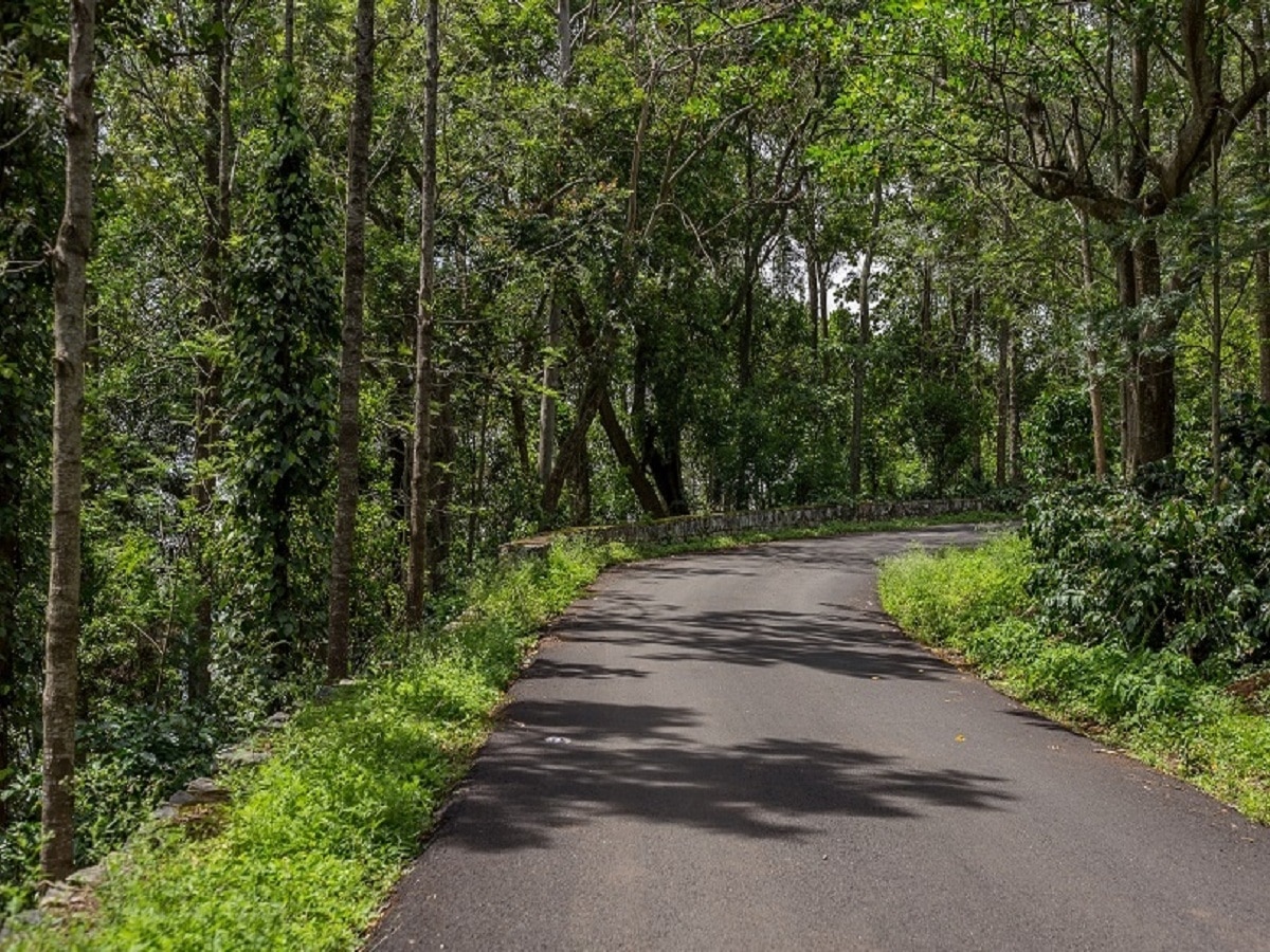 | Spooky Roads : திகிலையும் அச்சத்தையும் ஏற்படுத்தும் இந்தியாவில் உள்ள ...