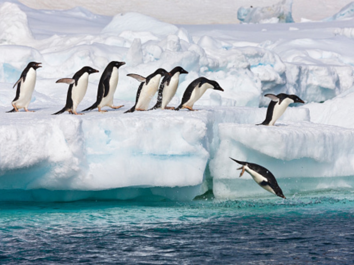Seven Reasons Why Antarctica Should Be On Your Travel Bucket List