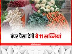 Top Vegetables: इन 11 सब्जियों की खेती से मिलेगा सालभर की मेहनत का फल, टॉप किस्मों से करें बुवाई