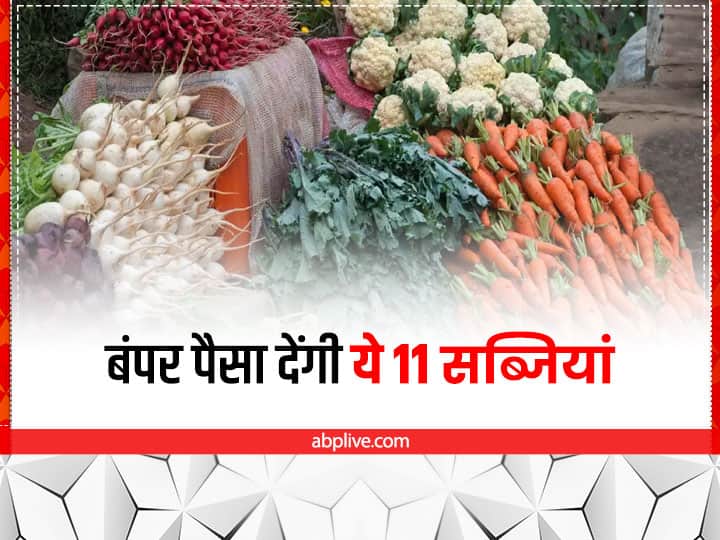 Vegetable Farming: रबी सीजन में कई किसान सब्जियों की खेती करने का मन बना रहे हैं, इसलिये इन 11 सब्जी फसलों के बारे में जान लें, जिनकी उन्नत किस्मों से आधुनिक खेती करके अच्छा पैसा कमा सकते हैं.