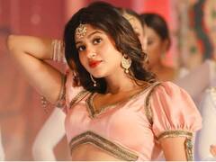 इंटरनेट पर छाया अंजलि अरोड़ा का ये नया लुक, ऐसा अंदाज देख फैंस भी हो जाएंगे क्लीन बोल्ड