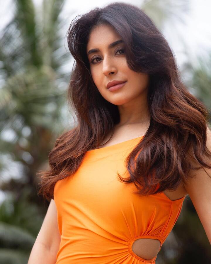 कृतिका कामरा ने अपने लुक को सटल मेकअप और बिखरी जुल्फों से पूरा किया है. उनकी कातिल निगाहें किसी को भी घायल करने के लिए काफी हैं.