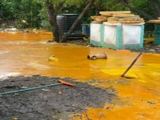 மீண்டும் ஆயில் கசிவு.. குடம் குடமாய் வழிந்தோடும் சமையல் எண்ணெய்..! குளம்போல் காட்சியளிக்கும் காசிமேடு