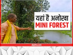 बीजू आम और फलों के बाग लगाकर 40 एकड़ खेत को बनाया Mini Forest, तालाब में भी मछली पालन के साथ सिघाड़े उगाते हैं