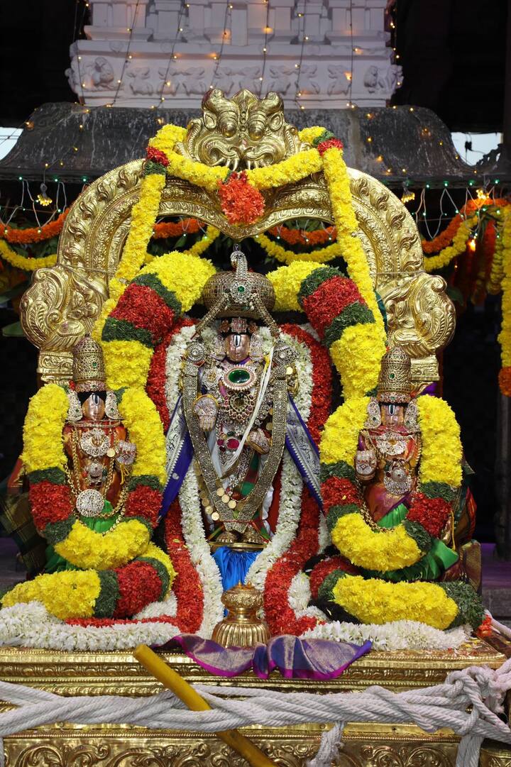 శ్రీవారి సాల‌క‌ట్ల‌ బ్రహ్మోత్సవాలు మంగ‌ళ‌వారం సాయంత్రం 5.45 నుంచి 6.15 గంటల మధ్య మీన లగ్నంలో ధ్వజారోహణ ఘట్టంతో వైభవంగా ప్రారంభమయ్యాయి.