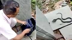 Watch: ਵਿਦਿਆਰਥੀ ਦੇ ਸਕੂਲ ਬੈਗ 'ਚੋਂ ਨਿਕਲਿਆ ਖਤਰਨਾਕ ਕੋਬਰਾ, ਵੀਡੀਓ ਦੇਖ ਲੋਕ ਹੋਏ ਹੈਰਾਨ