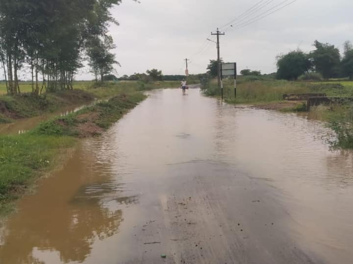 Thanjavur: Purchase of Crops have fallen after heavy rain in Thanjavur TNN தஞ்சை மாவட்டத்தில் கொட்டித்தீர்த்த மழையால் கொள்முதல் பணிகளில் பாதிப்பு