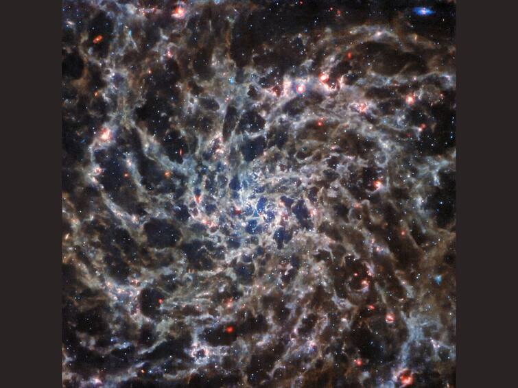 James Webb Space Telescope Reveals 'Bones' Of Spiral Galaxy In New Gothic Image