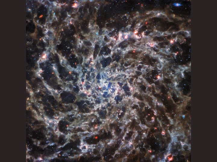 James Webb Space Telescope Reveals Bones Of Spiral Galaxy IC 5332 Smaller Than Milky Way In New Gothic Image James Webb Space Telescope Reveals 'Bones' Of Spiral Galaxy In New Gothic Image