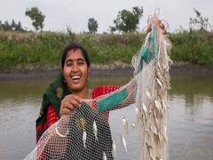 नीली क्रांति से बढ़ेगी किसानों की आमदनी, यहां मछली तालाब पर 70% तक सब्सिडी का ऑफर