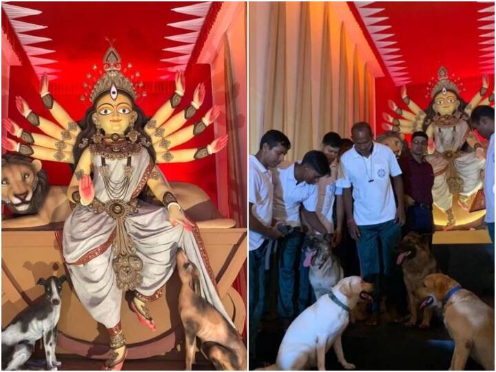 Kolkata: Pet Friendly Durga Pandal has been built for the first time, four police dogs became the chief guest Durga Puja 2022: कोलकाता में पहली बार बनाया गया Pet Friendly दुर्गा पूजा पंडाल, पुलिस के चार कुत्ते बने चीफ गेस्ट