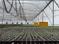 बिहार का हर किसान कर पाएगा आधुनिक खेती, यहां जाकर ले सकते हैं ट्रेनिंग