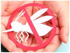 बारिश के बाद तेजी से बढ़ रहा है डेंगू का खतरा, ये सावधानी जरूर बरतें