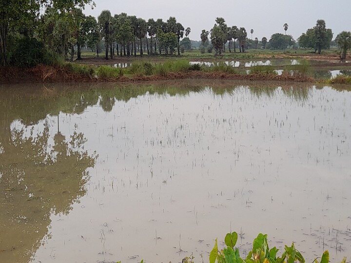 அக்., 3இல் காவிரி டெல்டா மாவட்ட ஆட்சியர்கள் அலுவலகங்கள் முற்றுகை -  பிஆர்.பாண்டியன் அறிவிப்பு