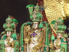 బ్రహ్మత్సవాల్లో శ్రీవారి కోసం విదేశీ ఫలాలు- జపాన్ ఆపిల్స్-మస్కట్ గ్రేప్స్, కొరియన్ పియర్స్