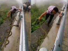 Viral Video: ਸੱਪਾਂ ਦੇ ਝੁੰਡ ਨੂੰ ਹੱਥਾਂ ਨਾਲ ਸੁੱਟਦਾ ਨਜ਼ਰ ਆਇਆ ਵਿਅਕਤੀ, ਵੀਡੀਓ ਦੇਖ ਕੇ ਉੱਡ ਜਾਣਗੇ ਹੋਸ਼!