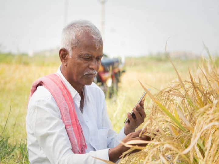 Paddy procurement started in Punjab and Haryana, farmers arrived with paddy in the market Paddy Purchase: इन दो राज्यों में आज से धान खरीद शुरू, मंडी में धान लेकर पहुंचे किसान