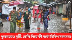 ঝিরঝিরে বৃষ্টিতে বাড়বে ডেঙ্গি? পুজোর সময়ে কী নিয়ে সতর্ক করছেন চিকিৎসকরা?