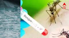 বাড়ছে ডেঙ্গি উদ্বেগ, বেডের অভাব, বাড়তি উদ্যোগ জেলায় জেলায়