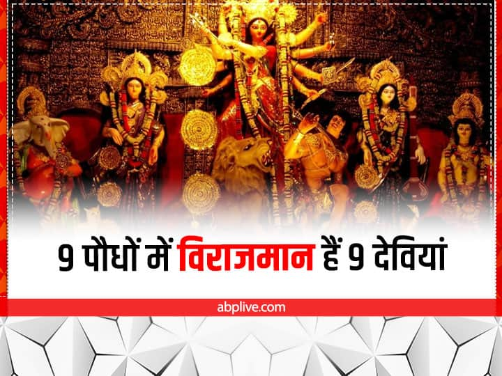 Navratri 2022 Plants: शास्त्रों के अनुसार 9 ऐसी औषधियां (पौधे) हैं जिसमें मां दुर्गा के 9 रूपों का वास माना गया है. इन औषधियों के प्रयोग से मां की कृपा होती है और दिव्य गुण प्राप्त होते हैं.