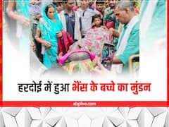 हरदोई में किसान ने कराया भैंस के बच्चे का मुंडन, 300 लोगों को दी दावत, जानिए वजह