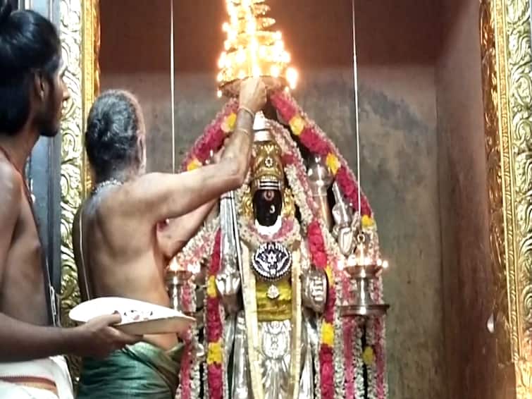Navratri Festival at Dharumapuram Atheenam TNN Navratri 2022: தருமபுரம் துர்கா கோயில் சதசண்டி யாகத்தில் மடாதிபதி பங்கேற்பு