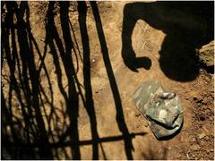 छत्तीसगढ़ के बीजापुर में नक्सली हमला, IED ब्लास्ट में एक जवान शहीद