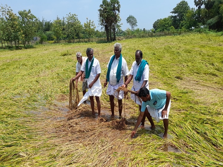 அக்., 3இல் காவிரி டெல்டா மாவட்ட ஆட்சியர்கள் அலுவலகங்கள் முற்றுகை -  பிஆர்.பாண்டியன் அறிவிப்பு