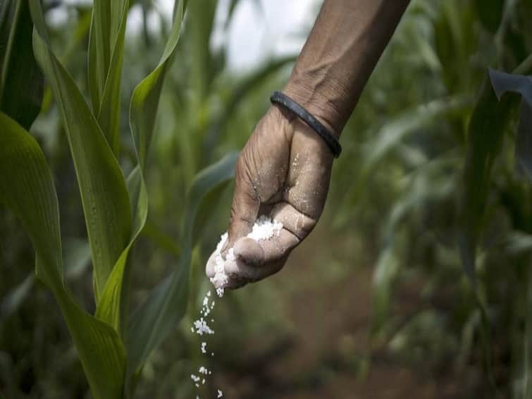 Agriculture News: After Mehsana one more district shortage of DAP fertiliser Fertilizers: મહેસાણા બાદ રાજ્યના વધુ એક જિલ્લામાં DAP ખાતરની અછત, હજારો ખેડૂતો થયા પરેશાન
