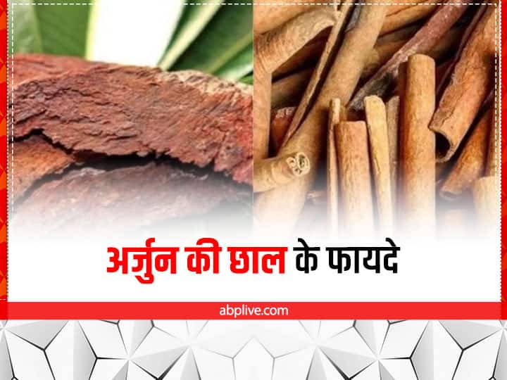 Health benefits of Arjuna Bark in Hindi अर्जुन की छाल में है कई गुण, इन 4 समस्याओं को कर सकता है छूमंतर