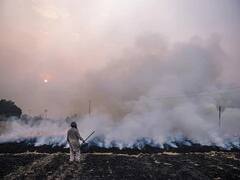 Stubble Burning: ਪਰਾਲੀ ਸਾੜਨ ਦੇ ਮੁੱਦੇ 'ਤੇ ਕਿਸਾਨਾਂ ਦੇ ਤੇਵਰ ਵੇਖ ਪੰਜਾਬ ਸਰਕਾਰ ਪਈ ਨਰਮ, ਖੇਤੀਬਾੜੀ ਮੰਤਰੀ ਬੋਲੇ, ਨਹੀਂ ਹੋਏਗੀ ਕੋਈ ਸਖਤੀ!