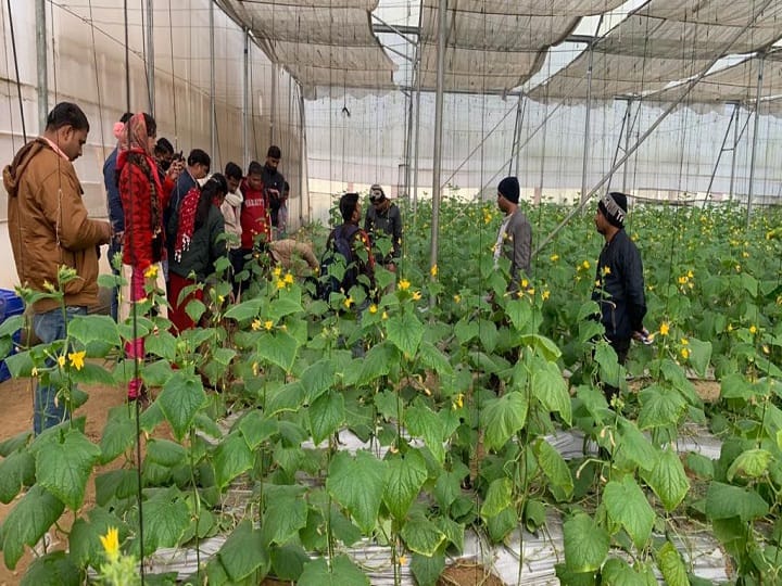 Center of Excellence: बिहार का हर किसान कर पाएगा आधुनिक खेती, यहां जाकर ले सकते हैं ट्रेनिंग